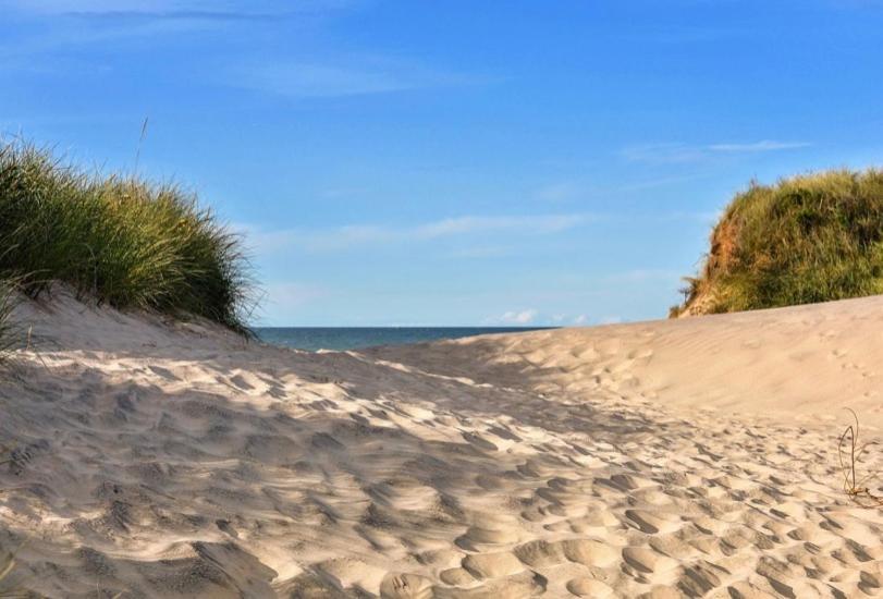 Fijne Studio Aan Zee Callantsoog Exteriör bild