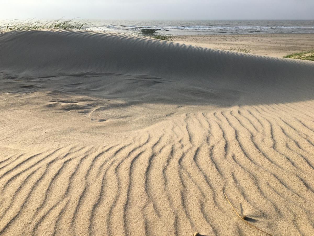 Fijne Studio Aan Zee Callantsoog Exteriör bild