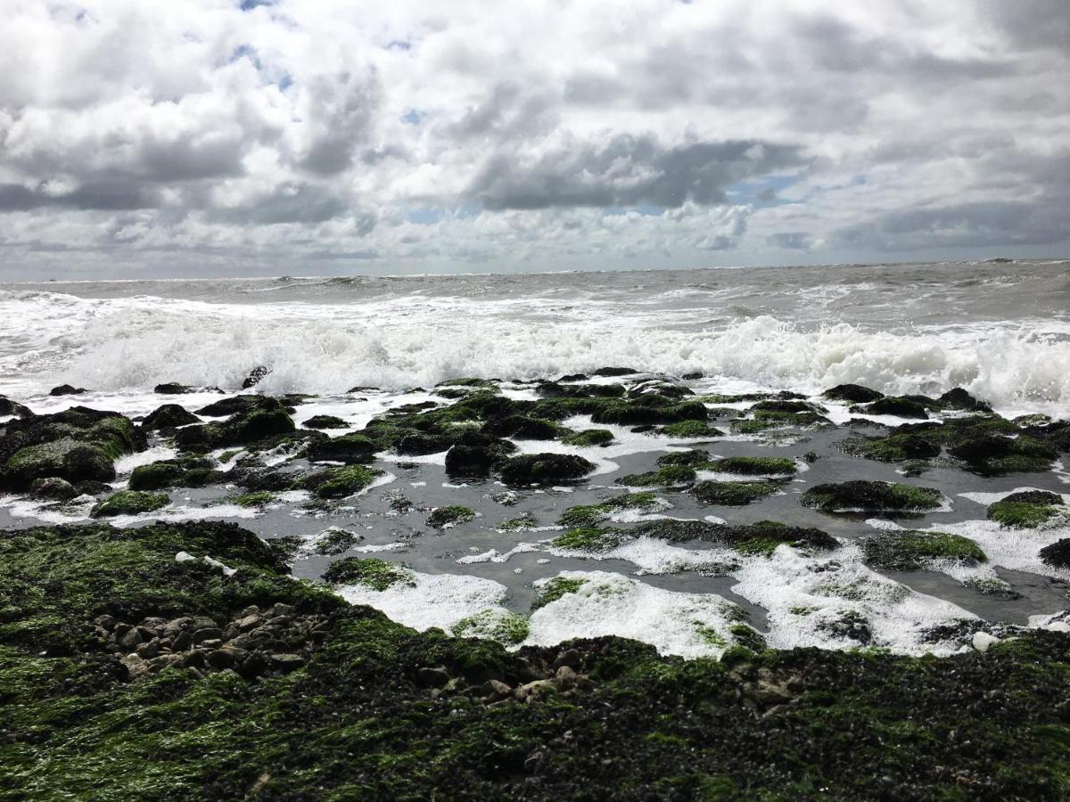 Fijne Studio Aan Zee Callantsoog Exteriör bild